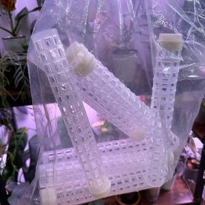 Moss Poles - RESERVED